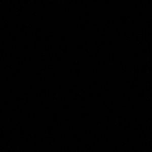 Meet your Posher, Ariel